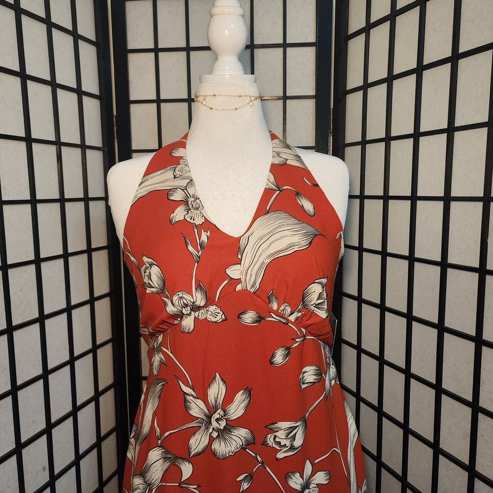 NWT Taylor Women's High Low Dress in Red and White Floral